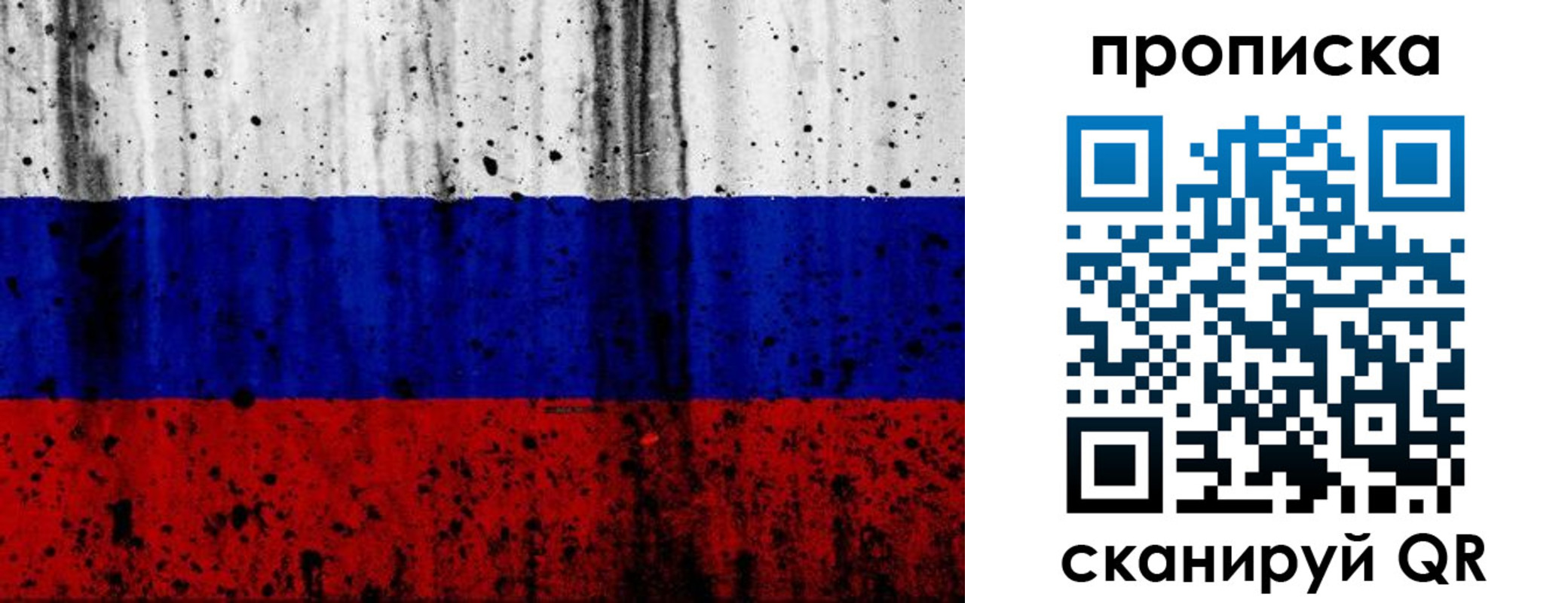 прописка поиск в Петрозаводске